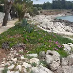 Апартаменты Dunja Hvar Иван-Долац