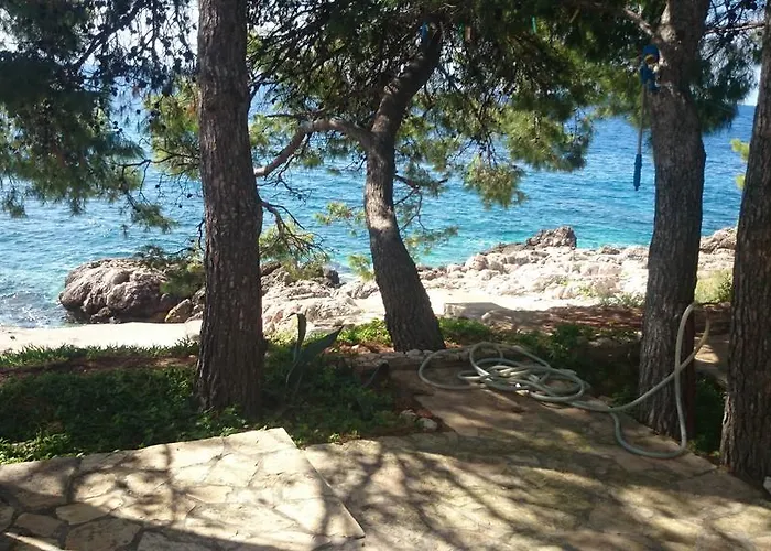 Dunja Hvar * Ivan Dolac