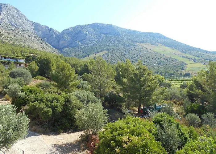 Dunja Hvar * Ivan Dolac