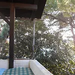 Dunja Hvar
