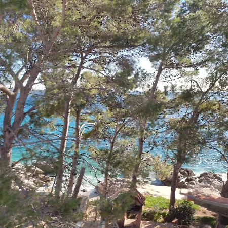 Dunja Hvar