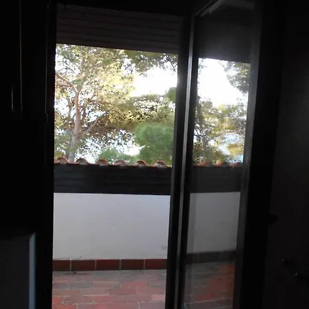 Dunja Hvar * 伊万多拉克