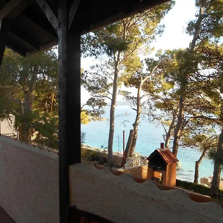 Dunja Hvar *