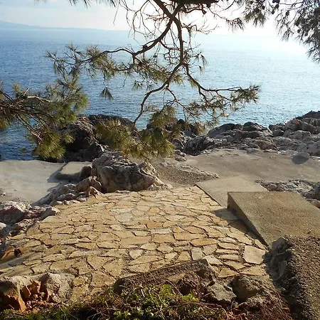 Dunja Hvar 伊万多拉克