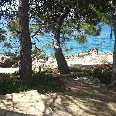 Dunja Hvar * 伊万多拉克