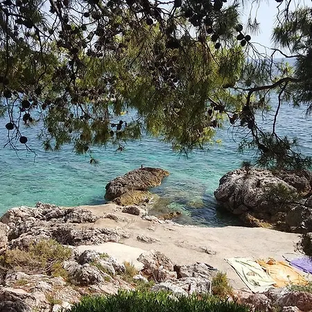 Dunja Hvar