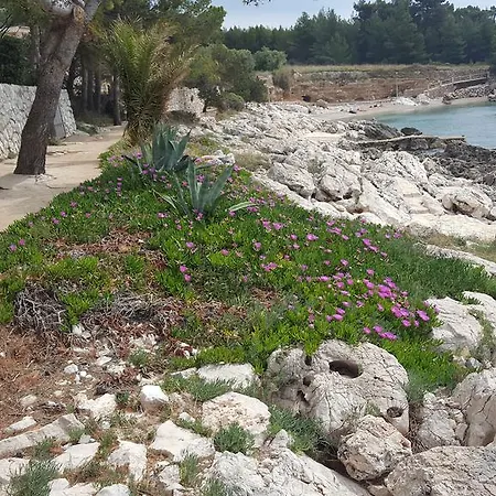 Apartmán Dunja Hvar Ivan Dolac
