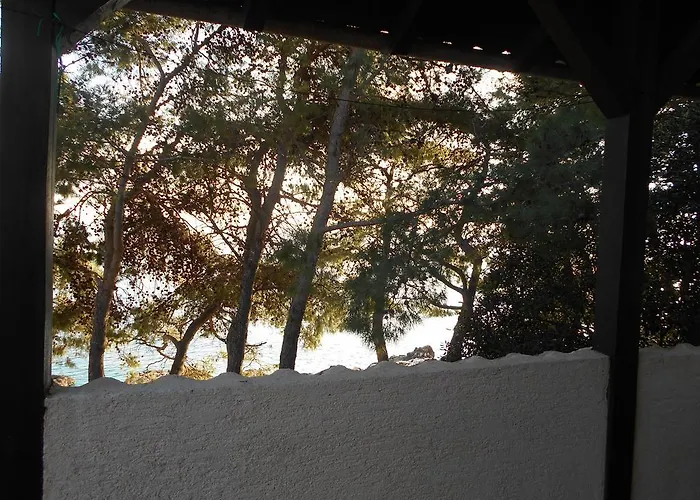 Dunja Hvar * איוואן דולץ