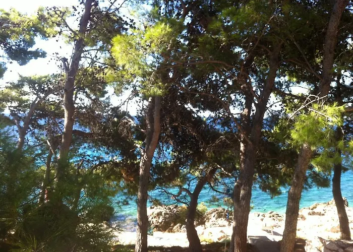 Dunja Hvar * 이반 돌라츠
