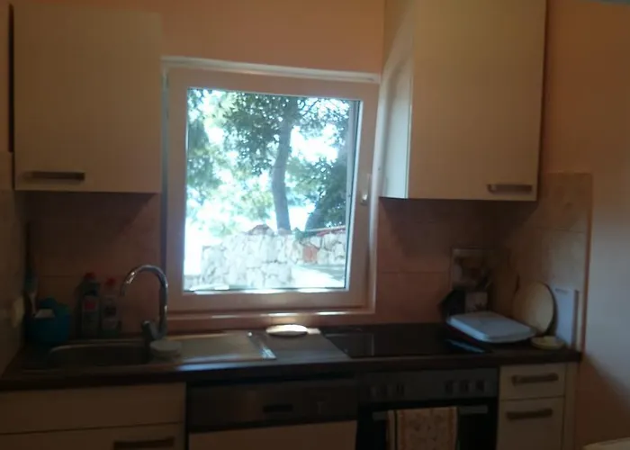 Dunja Hvar * איוואן דולץ