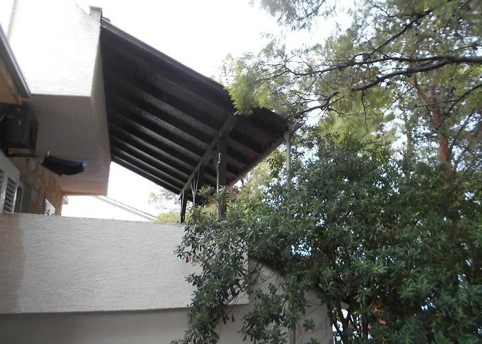 Dunja Hvar איוואן דולץ