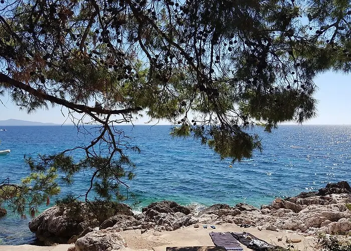 Dunja Hvar איוואן דולץ