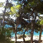 Dunja Hvar * Ivan Dolac