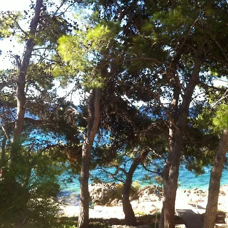 Dunja Hvar * איוואן דולץ