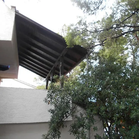 Dunja Hvar איוואן דולץ