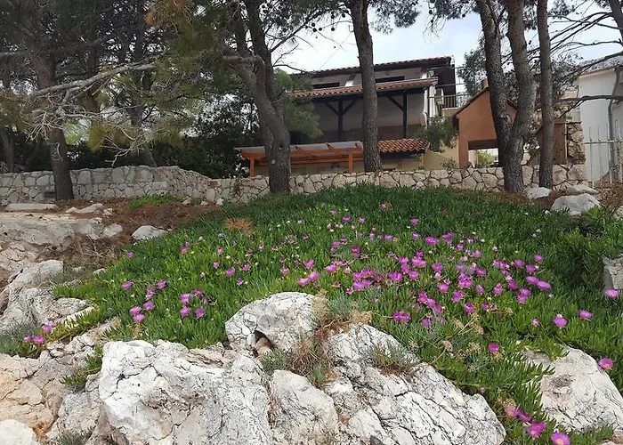 Dunja Hvar