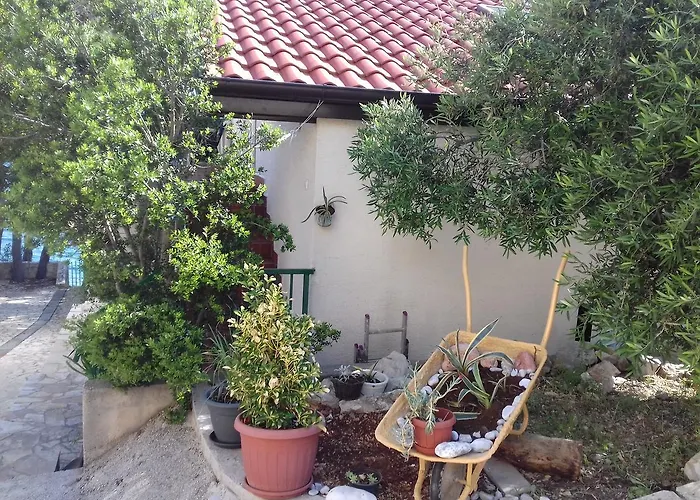 Dunja Hvar