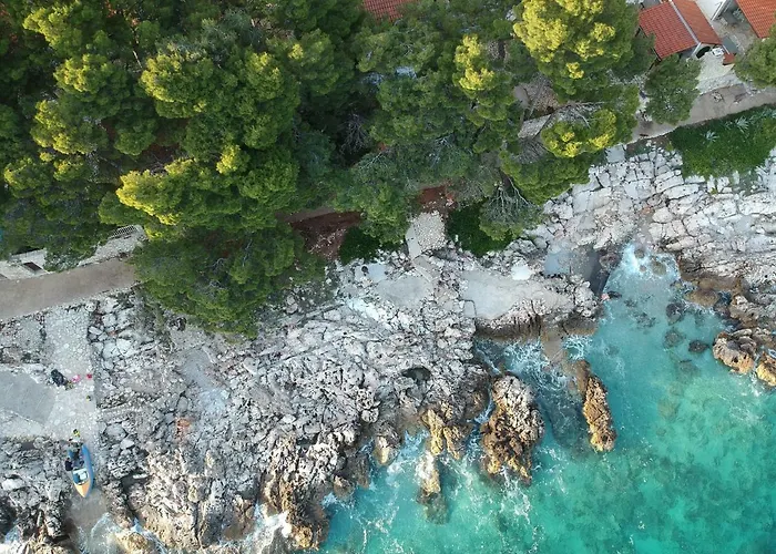 Dunja Hvar